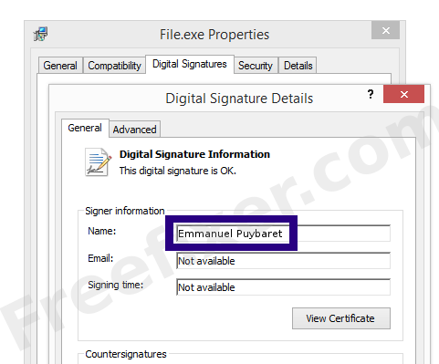 Screenshot of the Emmanuel Puybaret certificate